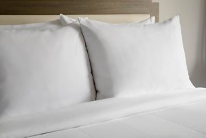 Hilton Rotterdam Hilton Rotterdam